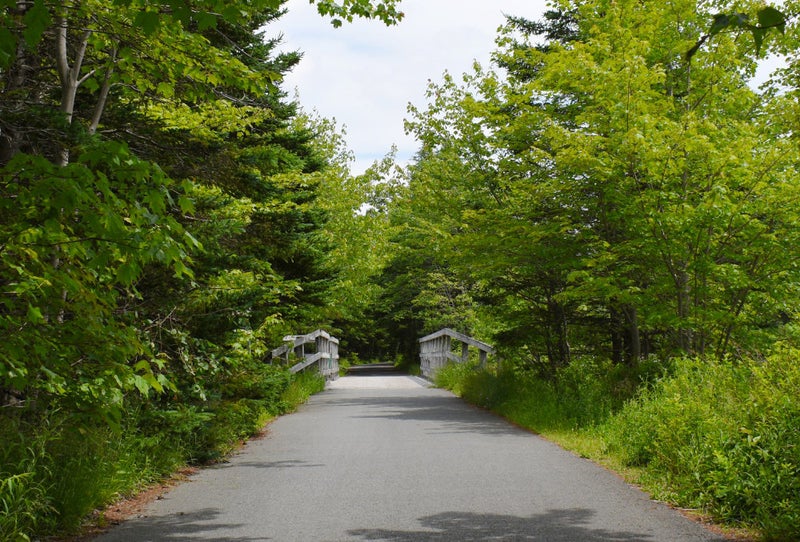 Timberlea Homes for Sale Halifax, NS Real Estate